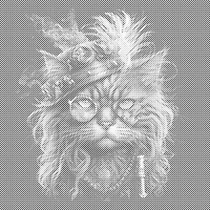 Chat punk - Dottingo