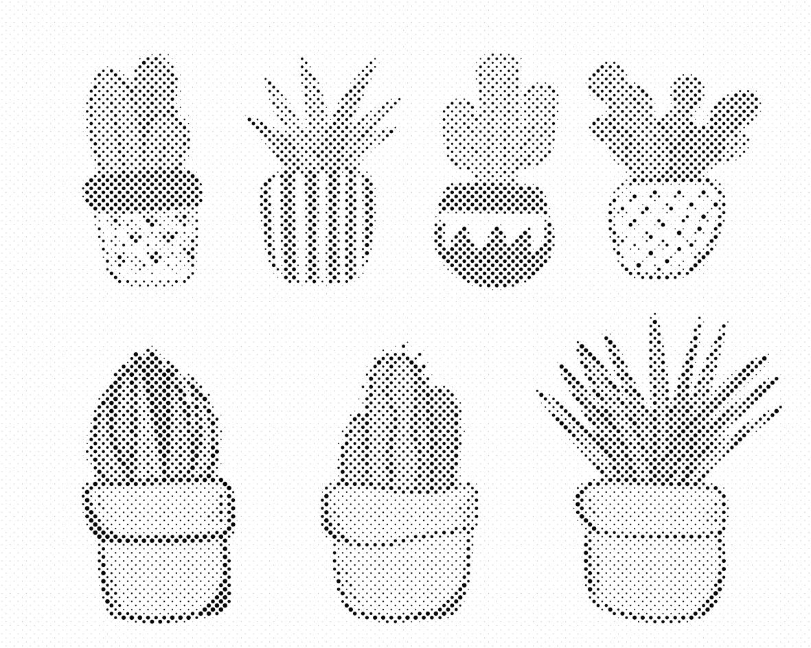 Cactus - Dottingo