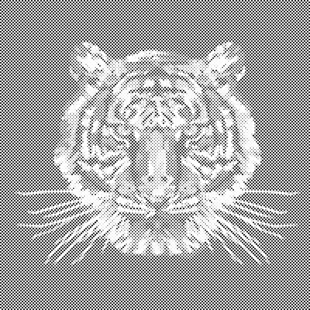 Tigre avec un fond noir - Dottingo