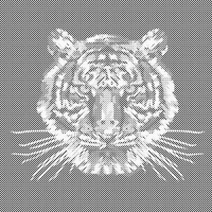 Tigre avec un fond noir - Dottingo