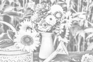 Tournesol 2 - Dottingo