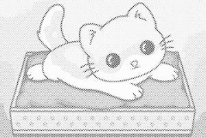 Chaton sur couverture violette - Dottingo