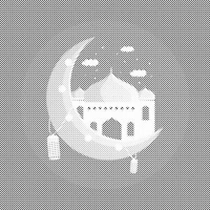 Mosquée rose - Dottingo