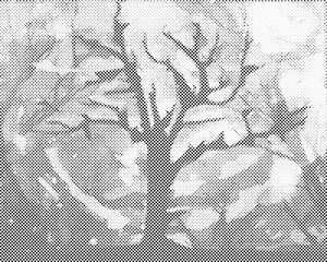 Arbre avec un fond enchanteur - Dottingo