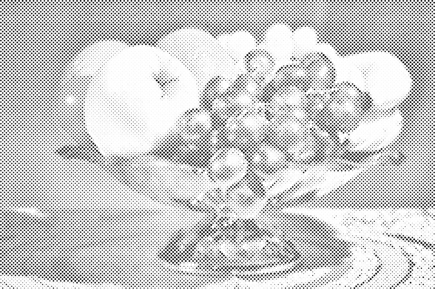 Bol plein de fruits - Dottingo