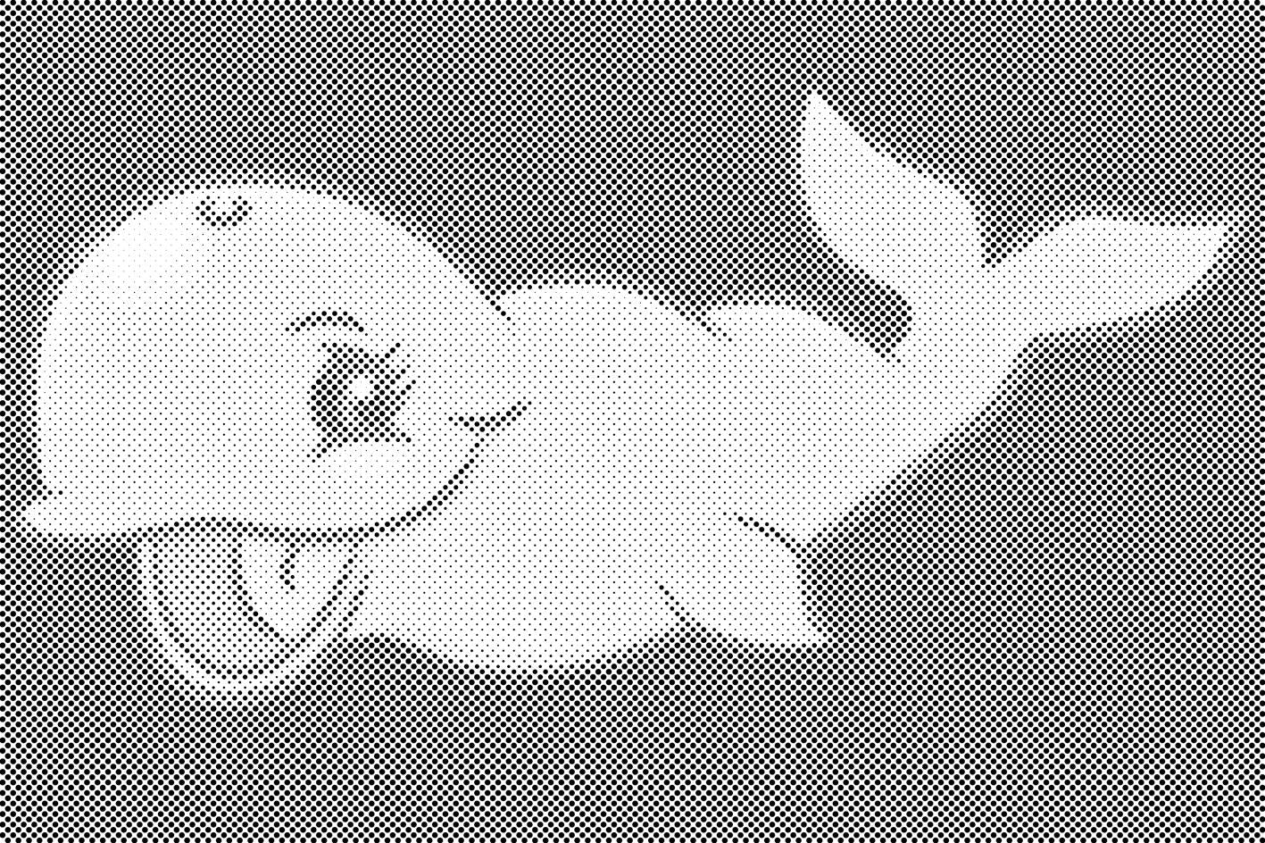 Baleine rieuse - Dottingo