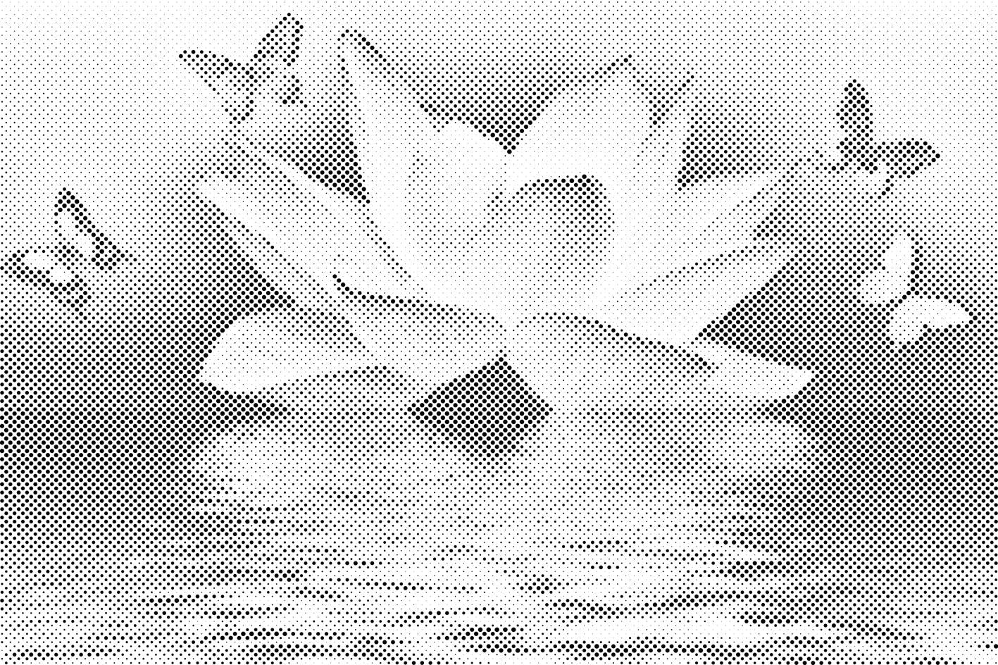 Lotus et papillon - Dottingo