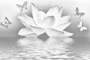 Lotus et papillon - Dottingo