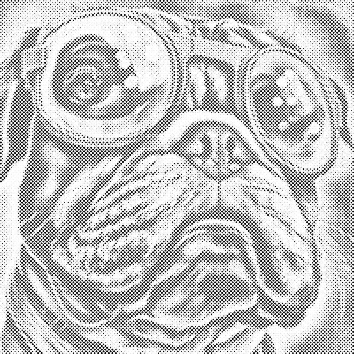 Chien avec des lunettes élégantes 2 - Dottingo