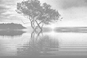Coucher de soleil au bord du lac - Dottingo