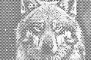 Visage de loup - Dottingo