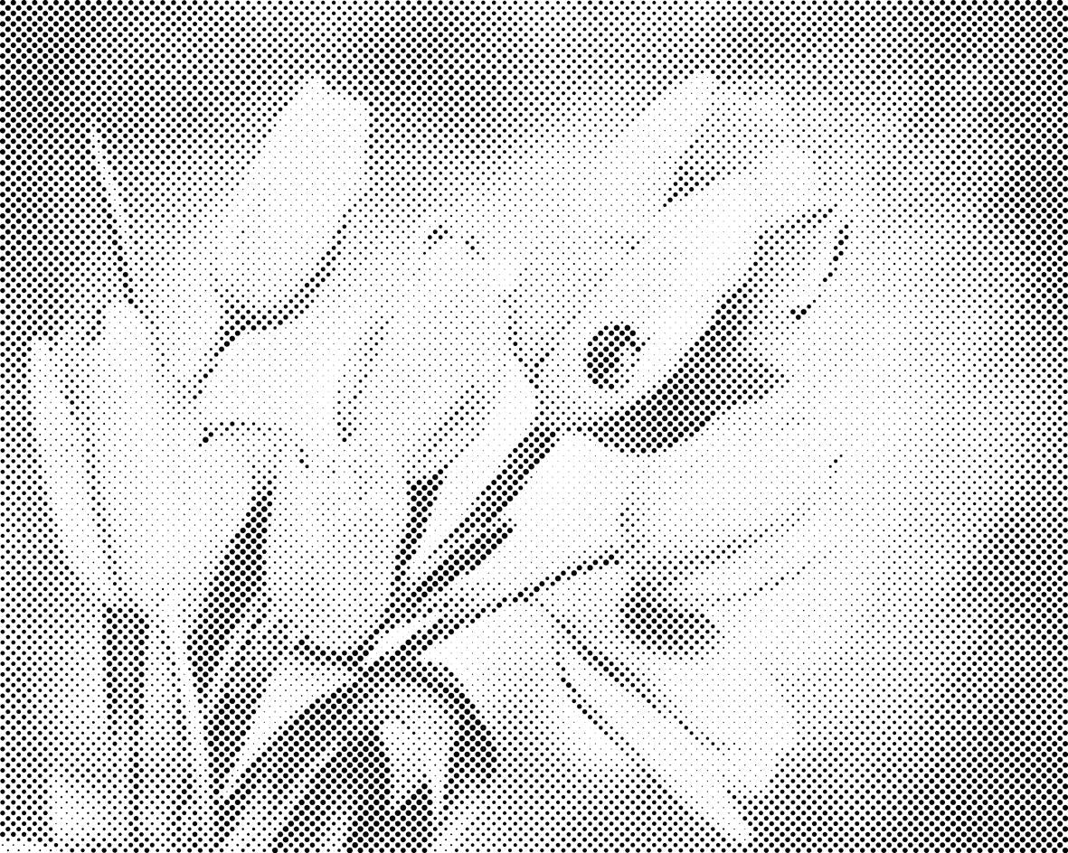 Tulipes et coccinelle - Dottingo