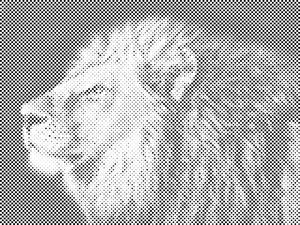 Tête de lion - Dottingo