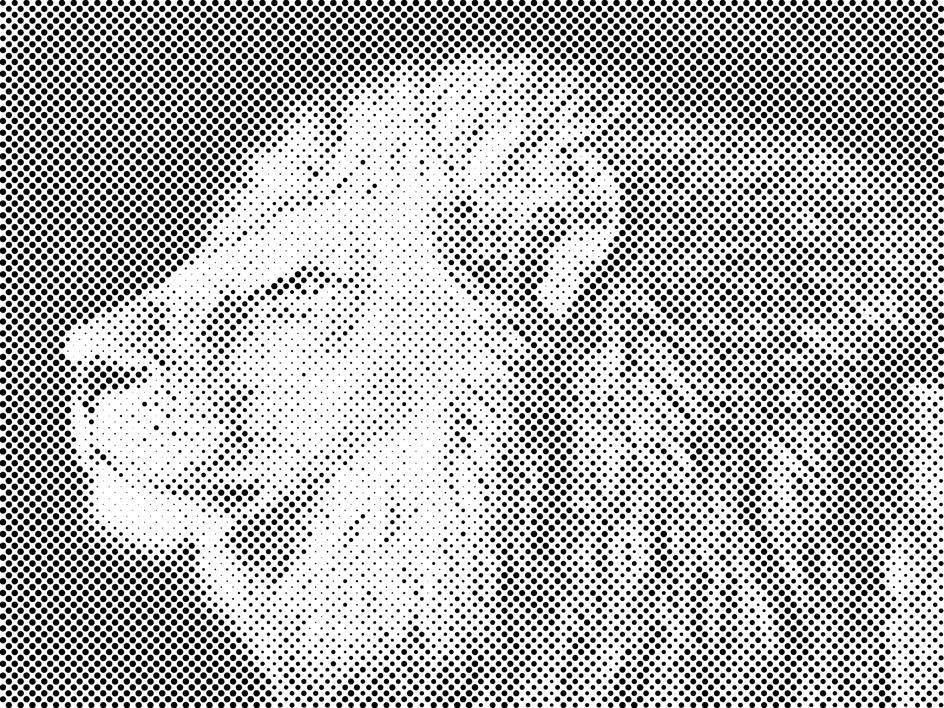 Tête de lion - Dottingo