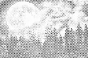 Pleine Lune sur la forêt - Dottingo