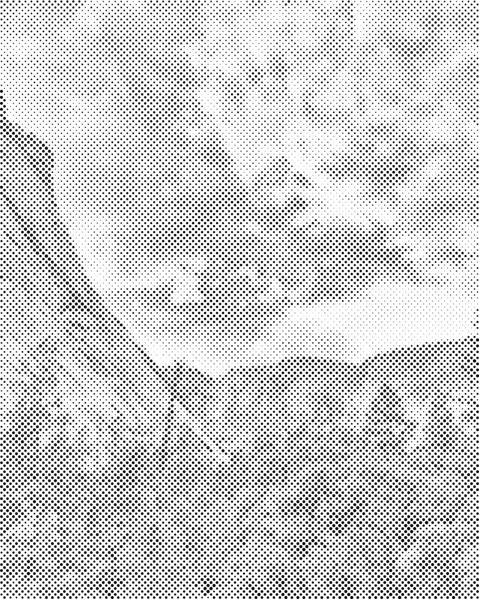 Parc national Yosemite - Dottingo