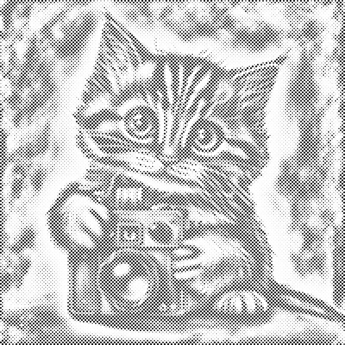 Chaton avec un appareil photo 2 - Dottingo
