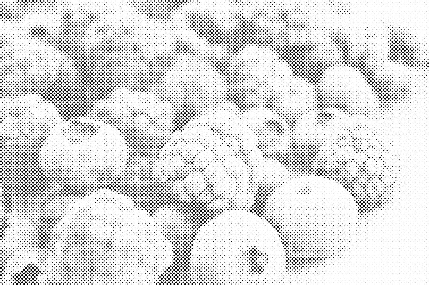 Fruits congelés - Dottingo