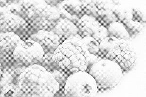 Fruits congelés - Dottingo