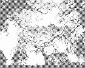 Silhouette d’arbres - Dottingo