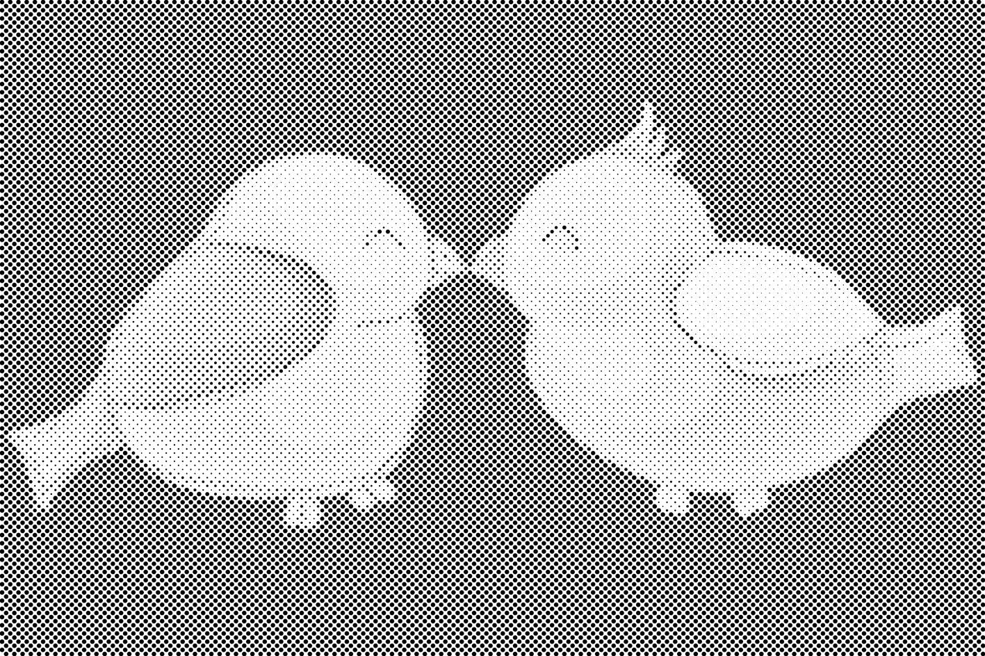 Oiseaux amoureux - Dottingo