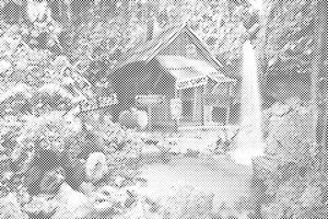 Gîte d’amour - Dottingo
