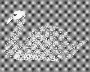 Mandala cygne - Dottingo