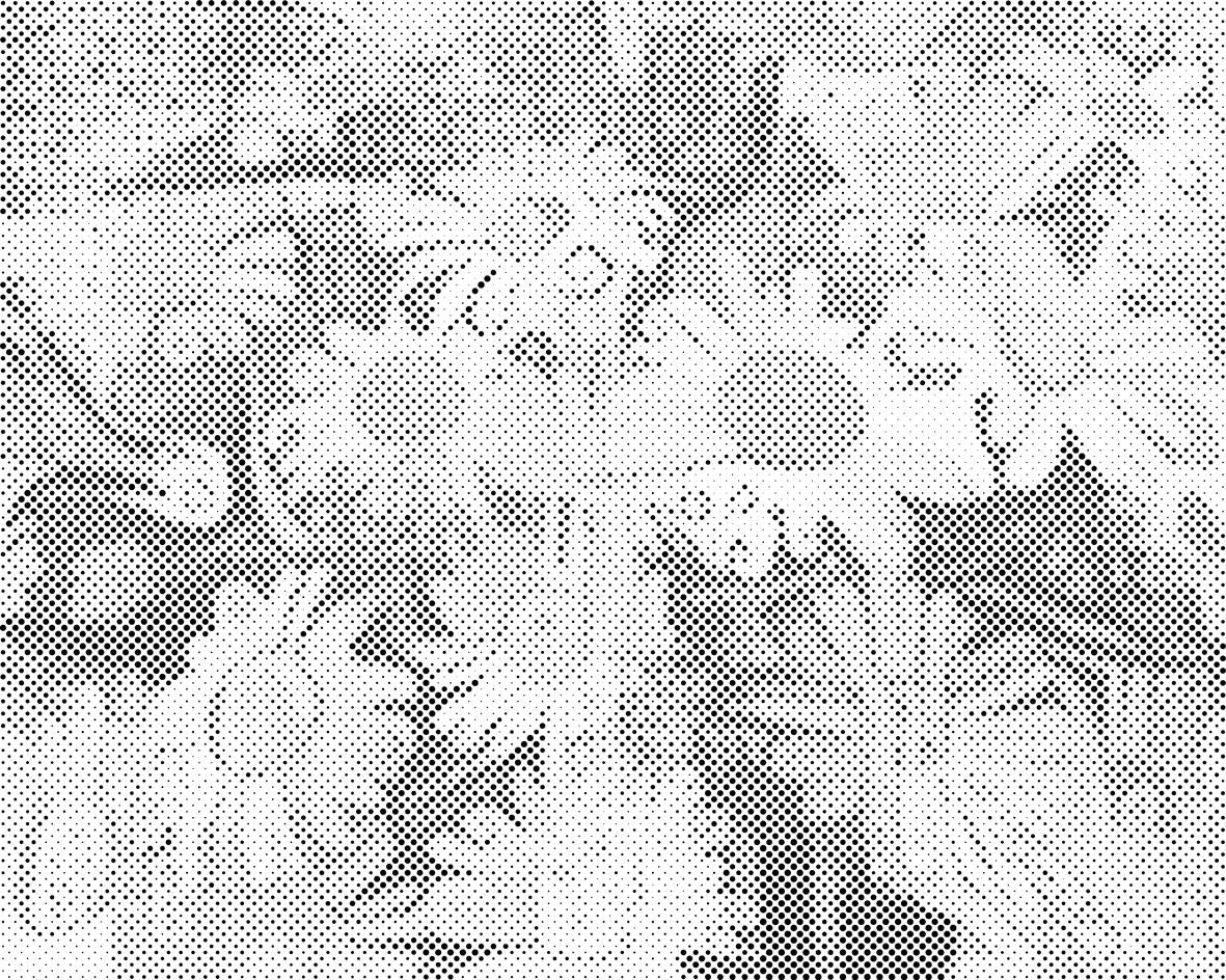 Joyeuses marguerites - Dottingo