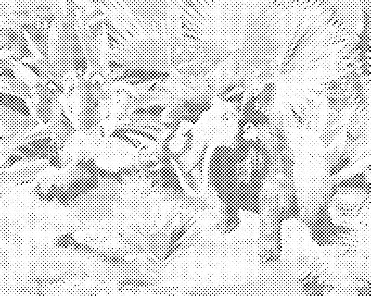 Période glaciaire - Dottingo