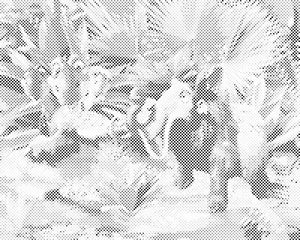 Période glaciaire - Dottingo