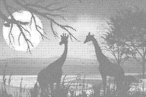 Girafes en Afrique - Dottingo