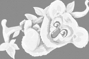 Koala dans un arbre - Dottingo