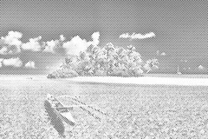 Belle île - Dottingo