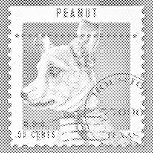 Timbre chien - Dottingo