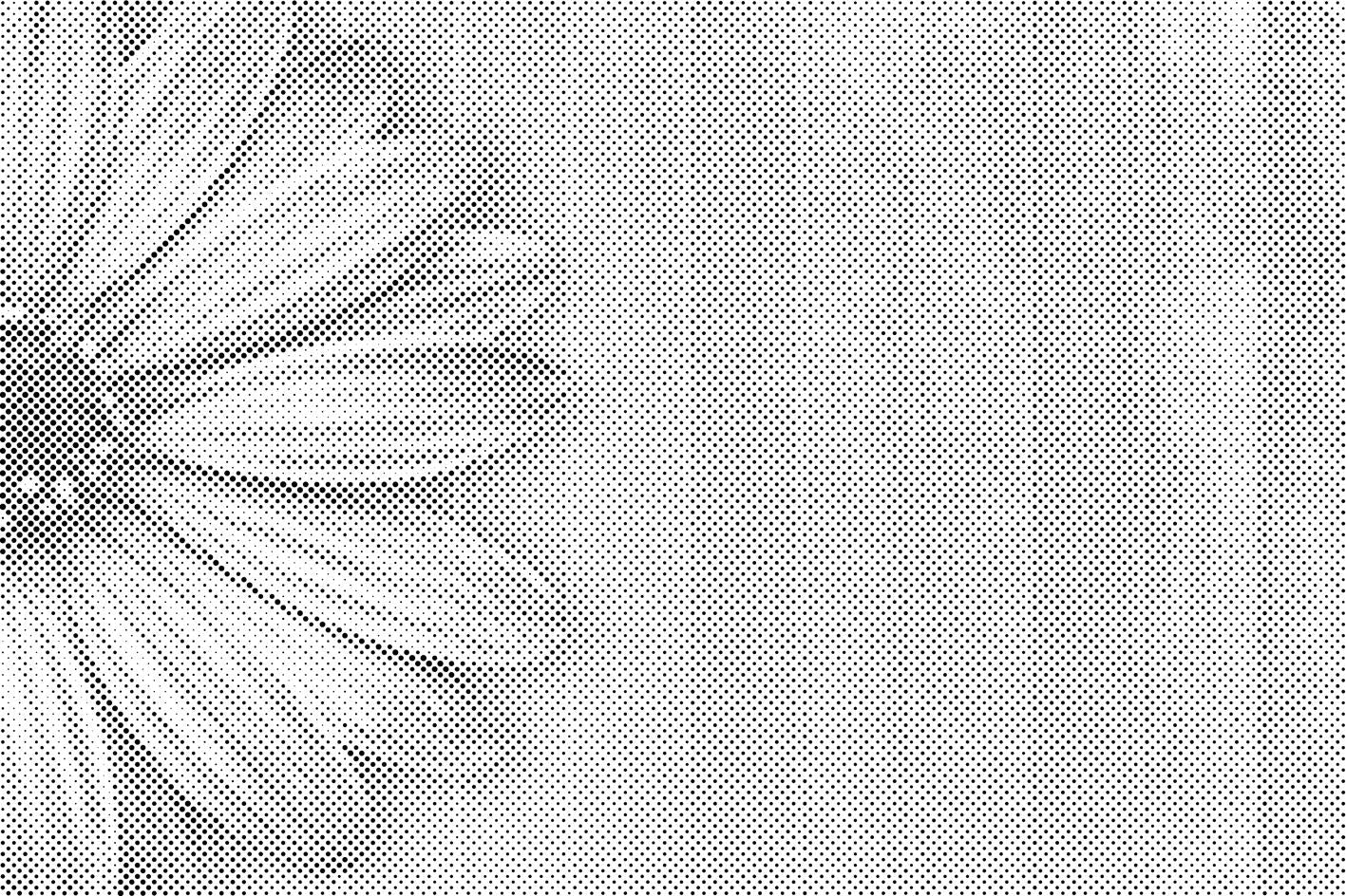 Gerbera violet - Dottingo