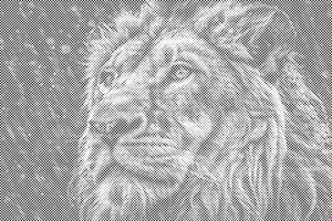 Lion sous la pluie - Dottingo