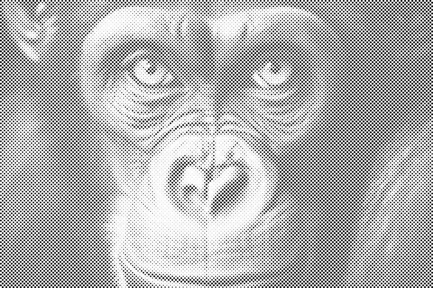 Chimpanzé de près - Dottingo