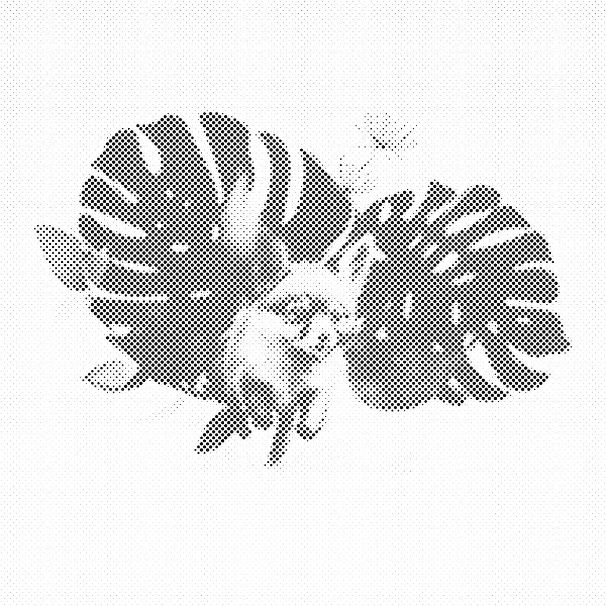 Le renard et la plante monstera - Dottingo