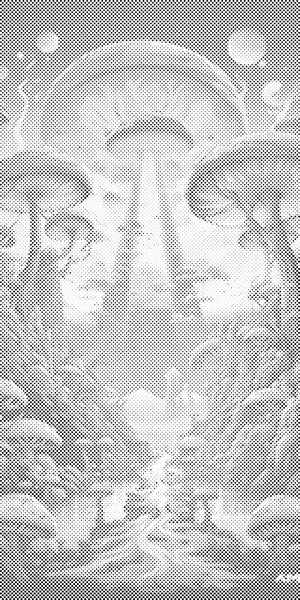 Ville champignon - Dottingo