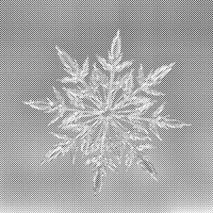 Flocon de neige 2 - Dottingo