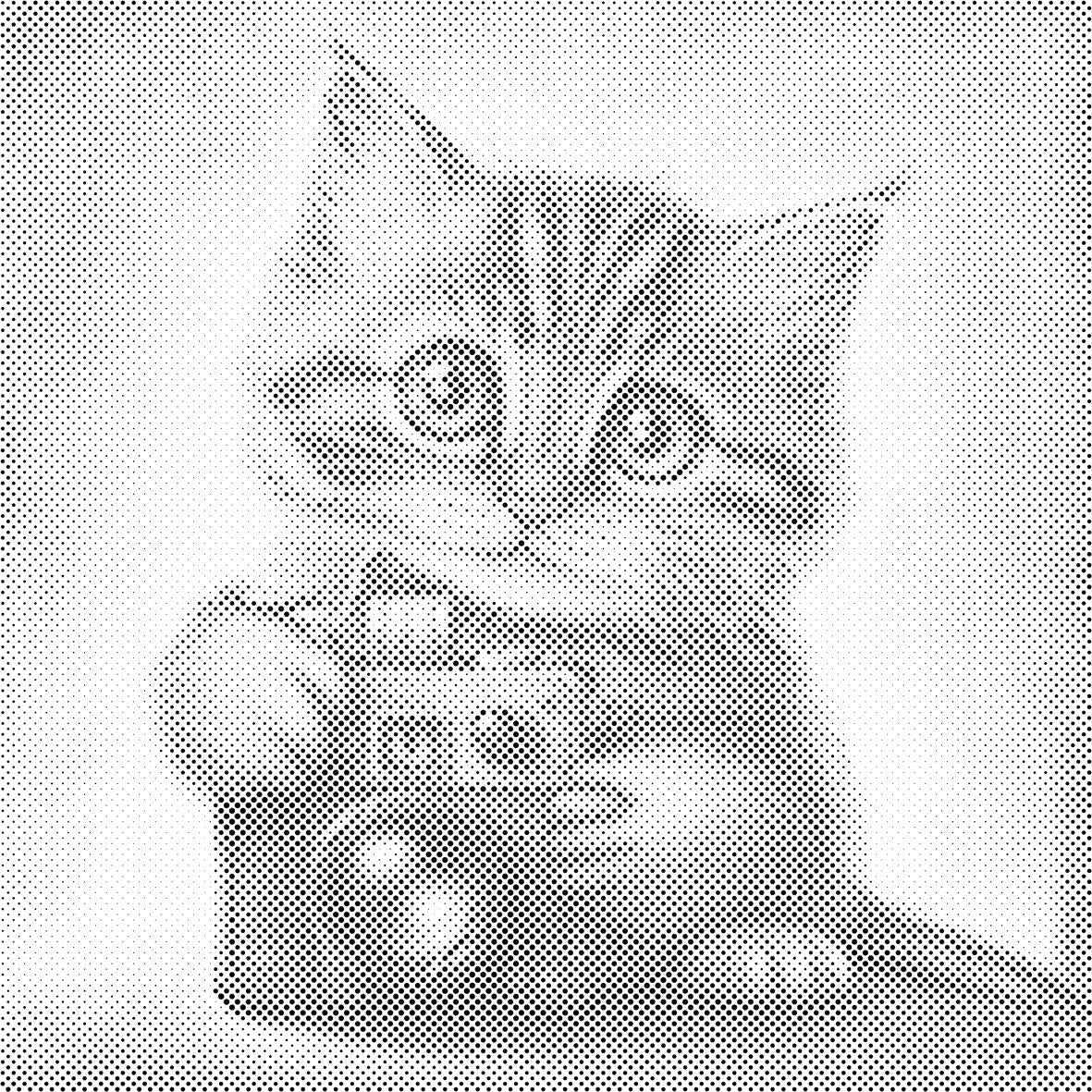 Chaton avec un appareil photo - Dottingo