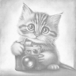 Chaton avec un appareil photo - Dottingo