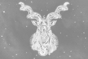 Capricorne - Dottingo