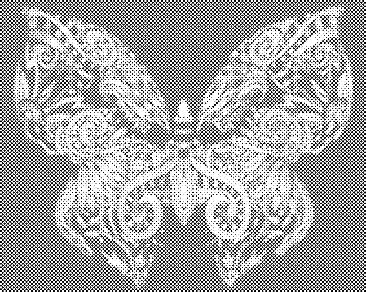 Mandala papillon - Dottingo