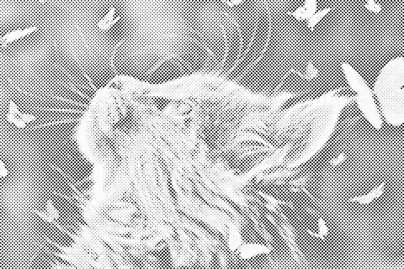 Chaton avec des papillons - Dottingo