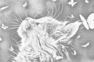 Chaton avec des papillons - Dottingo