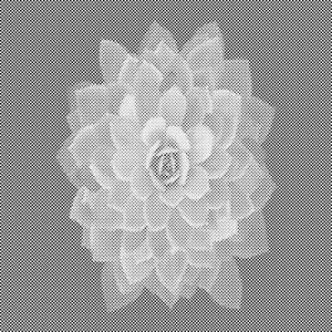 Mandala fleur dans l'inconscient - Dottingo