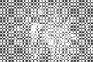 Lanternes - Dottingo