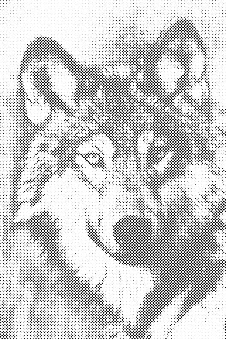 Loup - Dottingo