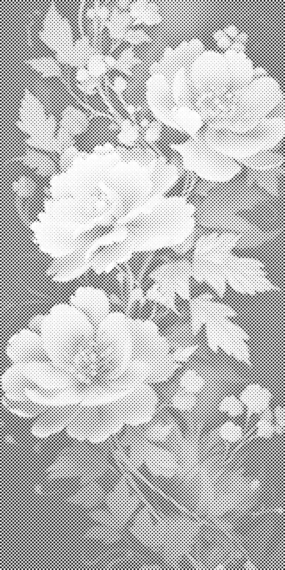 Roses bleu violet - Dottingo